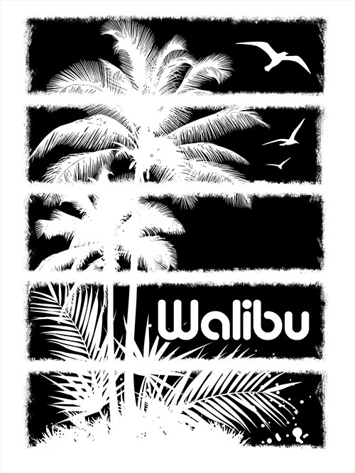 Walibu Vintage Surf T-Shirt Design Walibu Vintage Surf T-Shirt Design